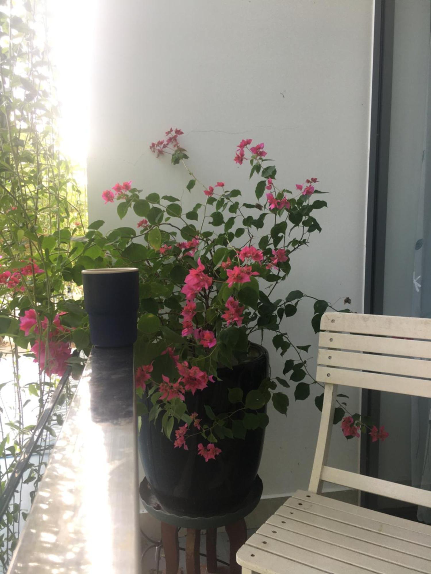La Gai Homestay Хойан Экстерьер фото